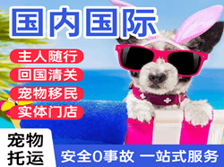 烟台蓬莱机场快运国际宠物托运 【国